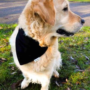 BANDANA POUR CHIEN HANDMADE