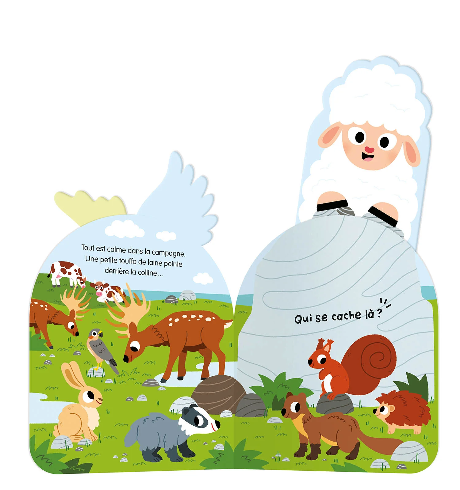 Auzou - À qui sont ces drôles de crêtes? – Image 3