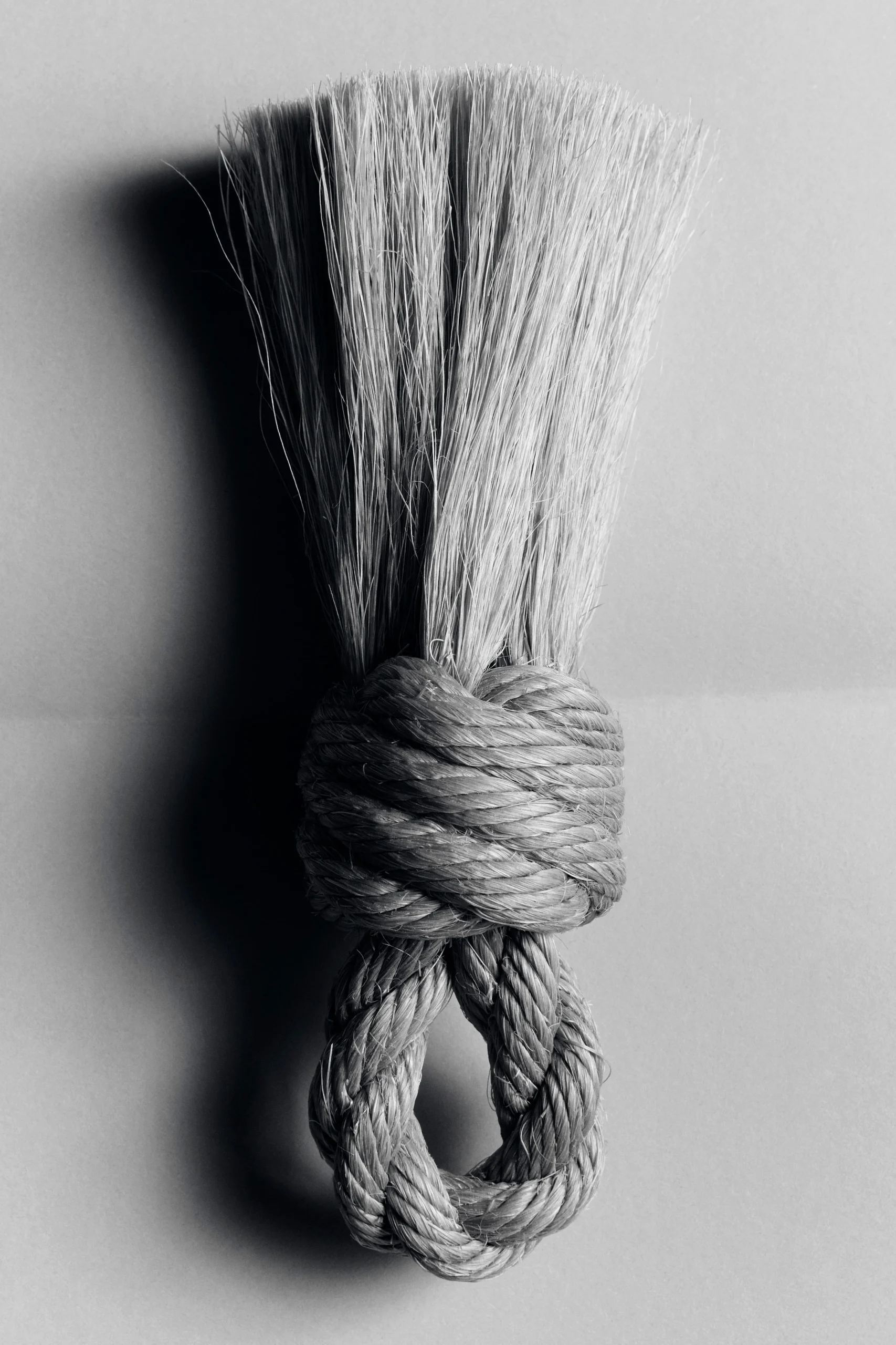 BROSSE DE MARIN, GRAND NOEUD DE RIDE ORANGE – Image 4