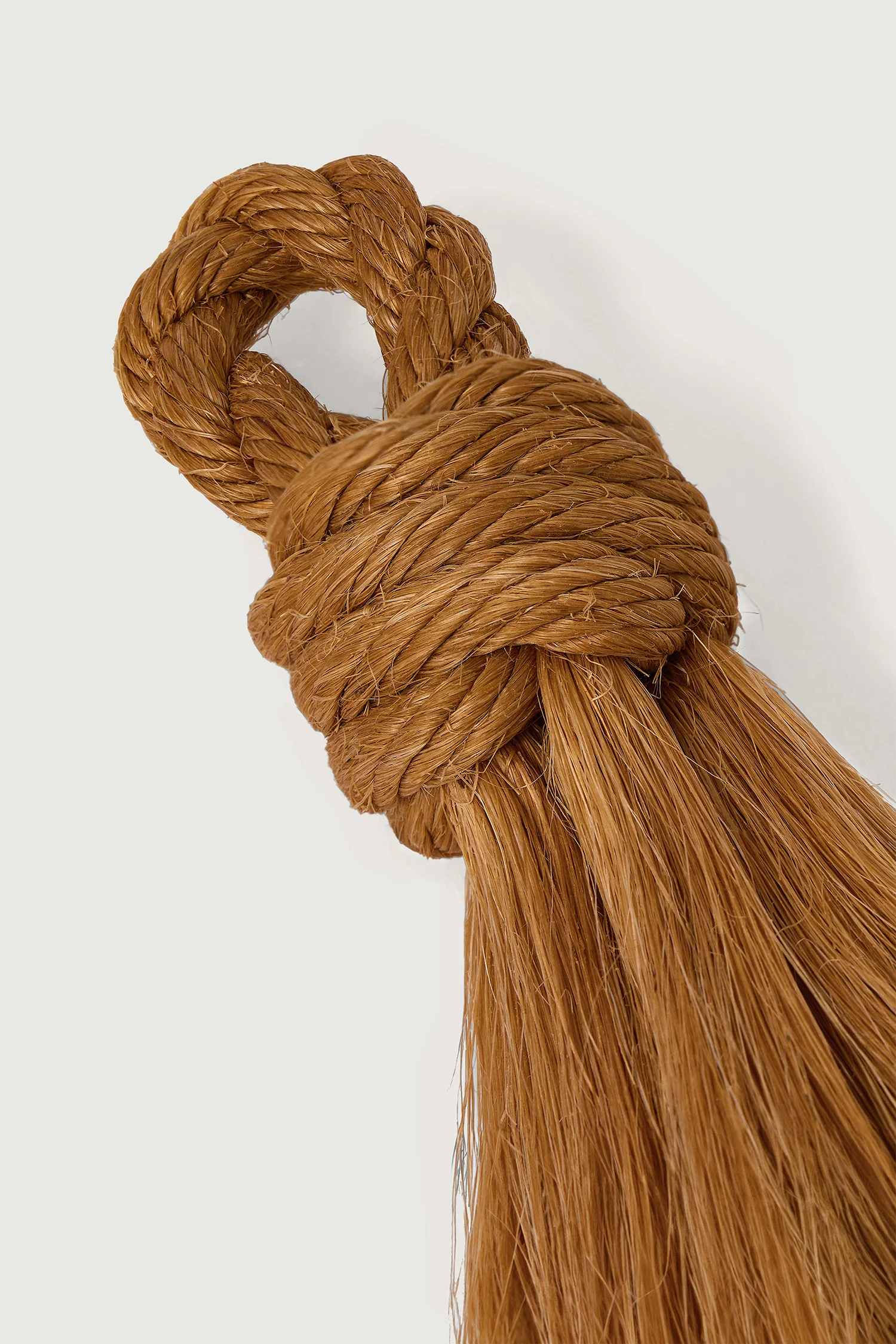 BROSSE DE MARIN, GRAND NOEUD DE RIDE ORANGE – Image 3